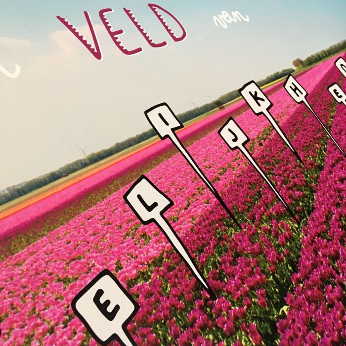 veld